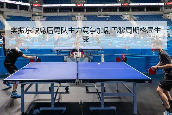 樊振东缺席后男队主力竞争加剧巴黎周期格局生变