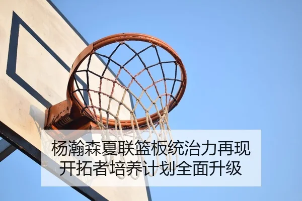 杨瀚森夏联篮板统治力再现 开拓者培养计划全面升级